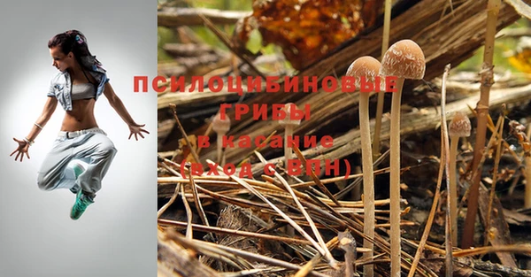 а пвп мука Алексеевка