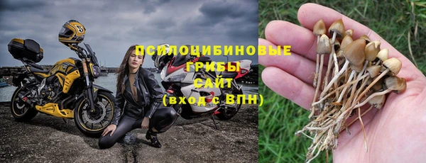 скорость Алзамай