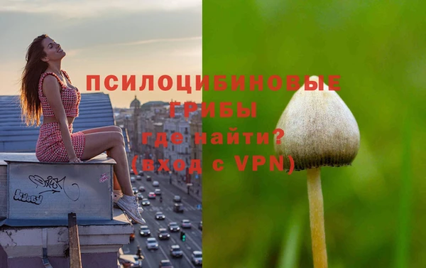 скорость Алзамай
