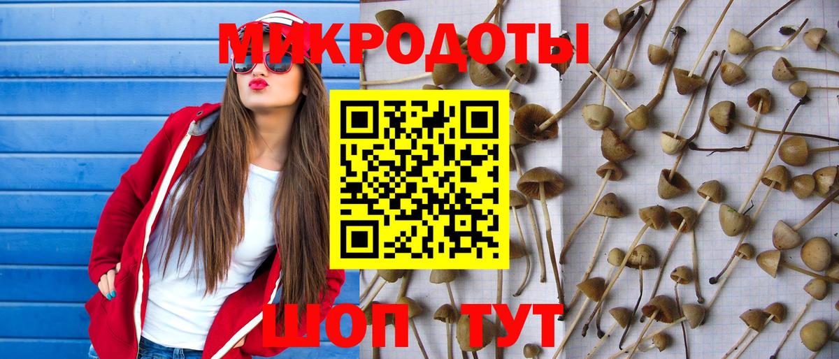 Псилоцибиновые грибы Psilocybine cubensis Бахчисарай