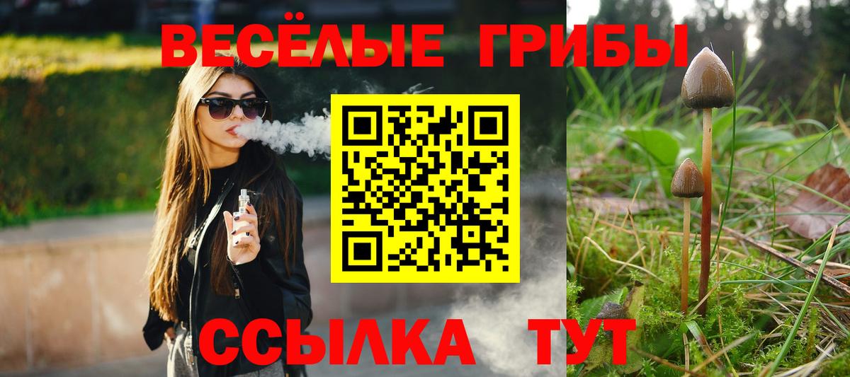 Бахчисарай  Псилоцибиновые грибы GOLDEN TEACHER  Вход с VPN 